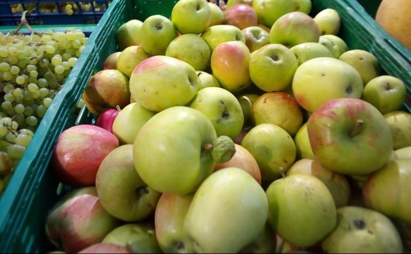 За год в Украине яблоки подорожали почти на 25%