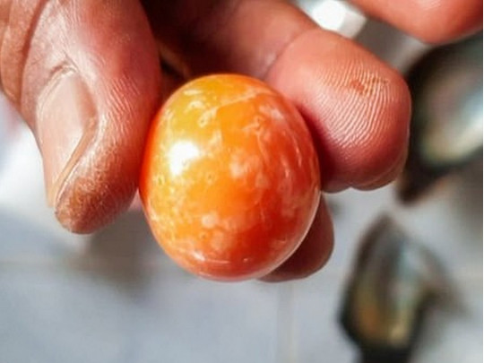 Рыбак нашел оранжевую жемчужину стоимостью 350 тысяч долларов