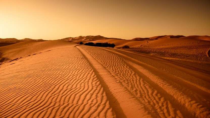Ученые назвали самые необычные находки в пустыне Сахара