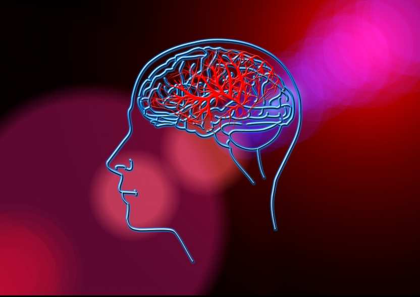 Медики поведали о способах улучшения памяти