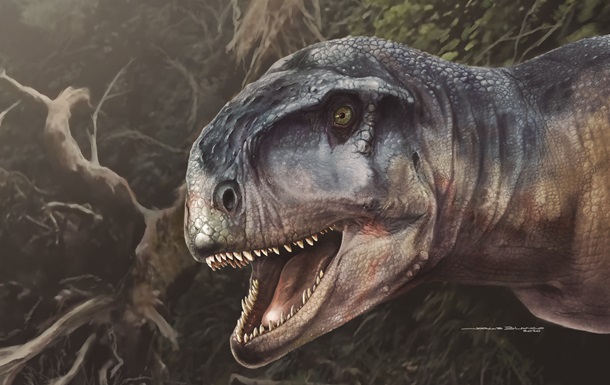 В Аргентине обнаружили останки неизвестного вида динозавров