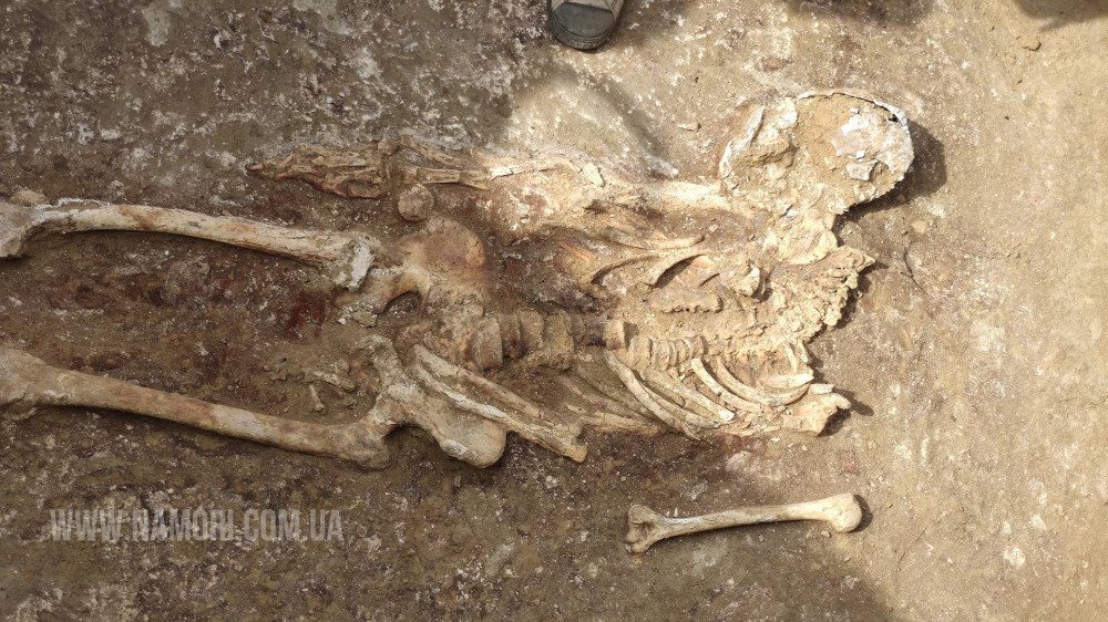 Археологи поделились открытиями с раскопок на Apaбaтcкoй Cтpeлке