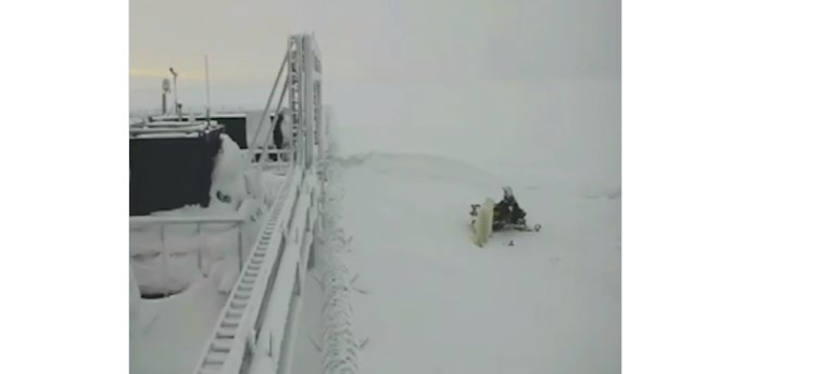 Белый медведь попался при попытке угнать снегоход