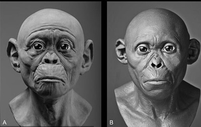 Ученым удалось воссоздать облик древних предков человека