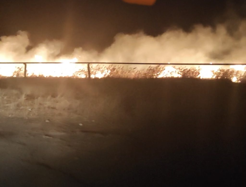 В Бердянске ликвидировали масштабный пожар в магазине