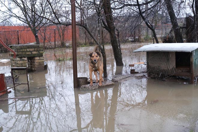 Украинцев предупредили о поднятии воды в реках