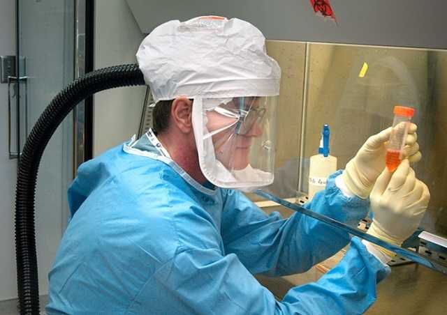 В Чехии выявили новый тип мутации коронавируса