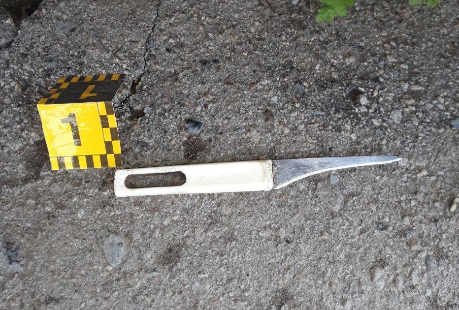 Под Харьковом мужчина с ножом едва не убил двух человек
