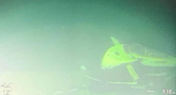 У берегов Бали нашли обломки пропавшей подводки