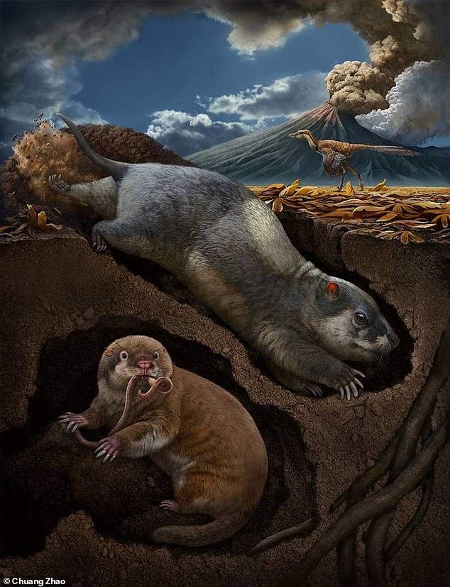 Китайские ученые обнаружили останки животных возрастом 120 миллионов лет