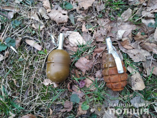 У Ровненского университета дети нашли гранаты