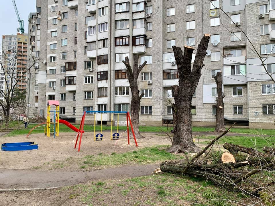 На Лесном массиве в Киеве коммунальщики «казнили» деревья