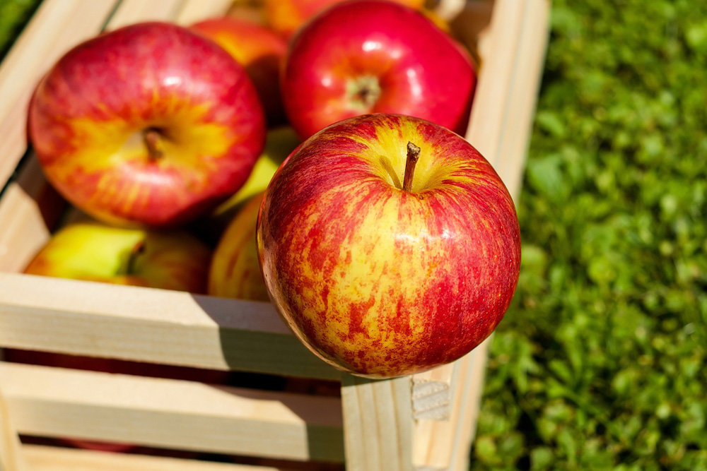 Самые полезные для здоровья фрукты: совет диетолога