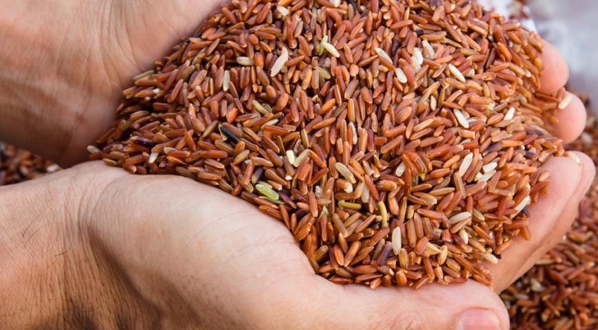 Британские ученые выяснили невероятную пользу коричневого риса