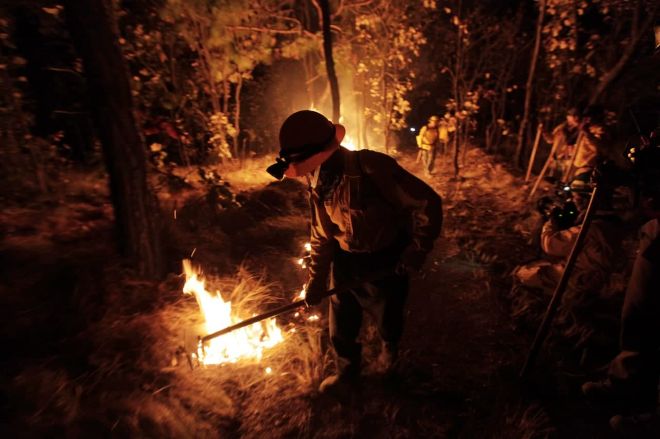 Мексику охватили лесные пожары
