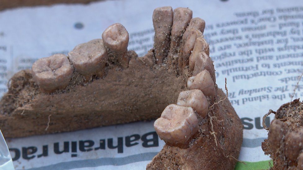Мужчина обнаружил на пляже человеческие останки возрастов  в пять тысяч лет