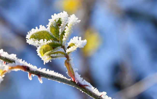 В Укргидрометцентре пообещали прохладную погоду в понедельник