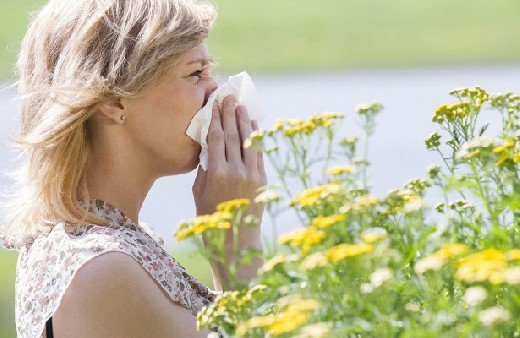 Медики перечислили натуральные средства для борьбы с аллергией