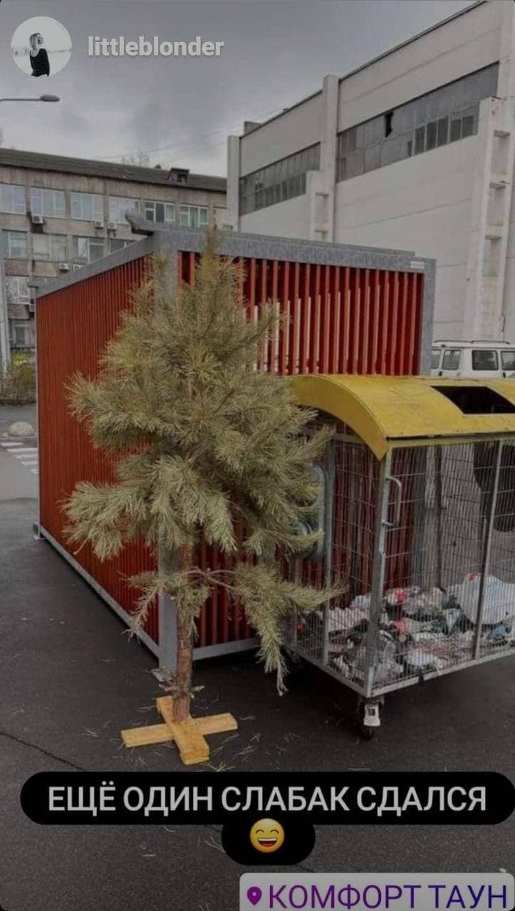В Киеве выбросили последнюю новогоднюю елку