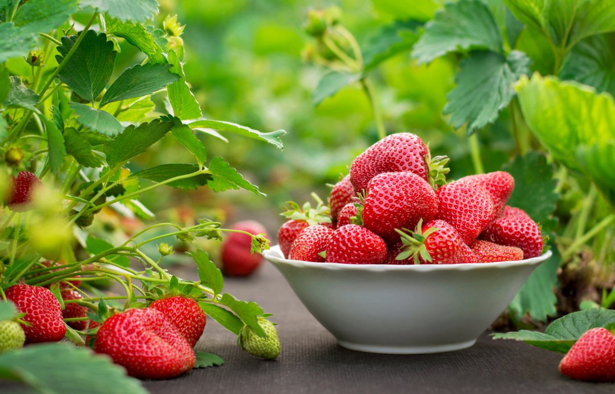 Врачи назвали продукты, которые люди едят неправильно
