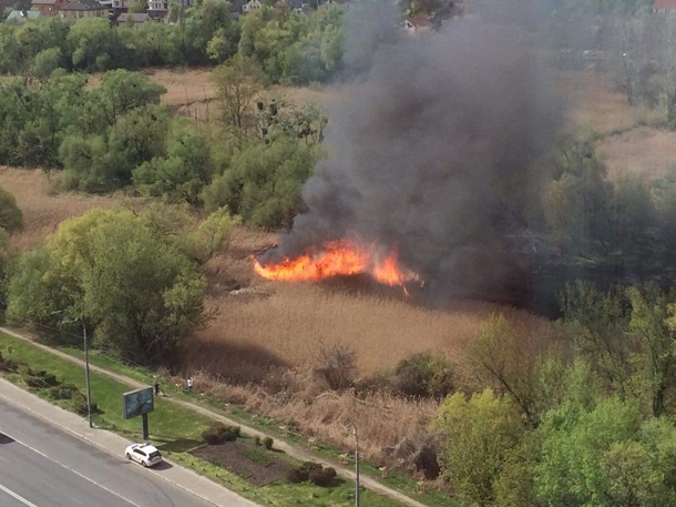 На Совских прудах в Киеве загорелась сухая трава