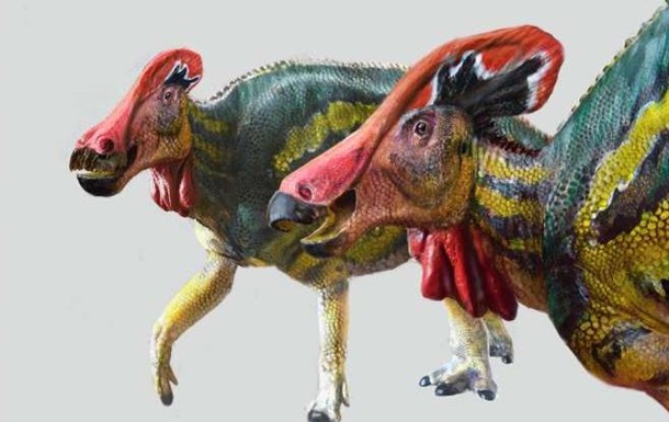 В Мексике обнаружили неизвестный вид динозавра