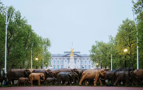 К Букингемскому дворцу «пригнали» стадо деревянных слонов