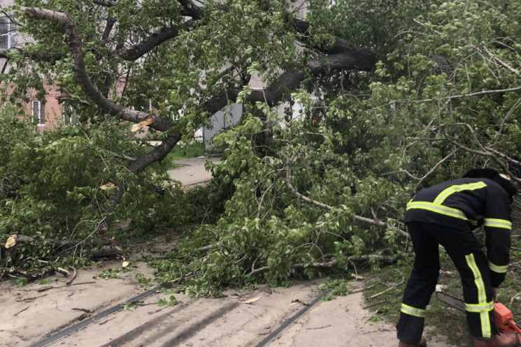 На Харьковщине сильный ветер валил деревья