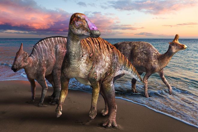 Ученые обнаружили уникального зубастого динозавра у берегов Японии