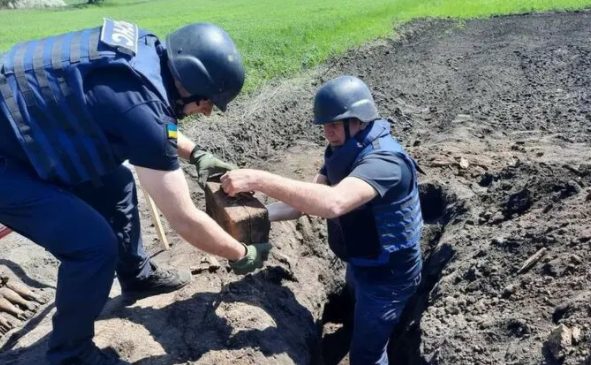 В селе под Харьковом огородник обнаружил ящик с боеприпасами