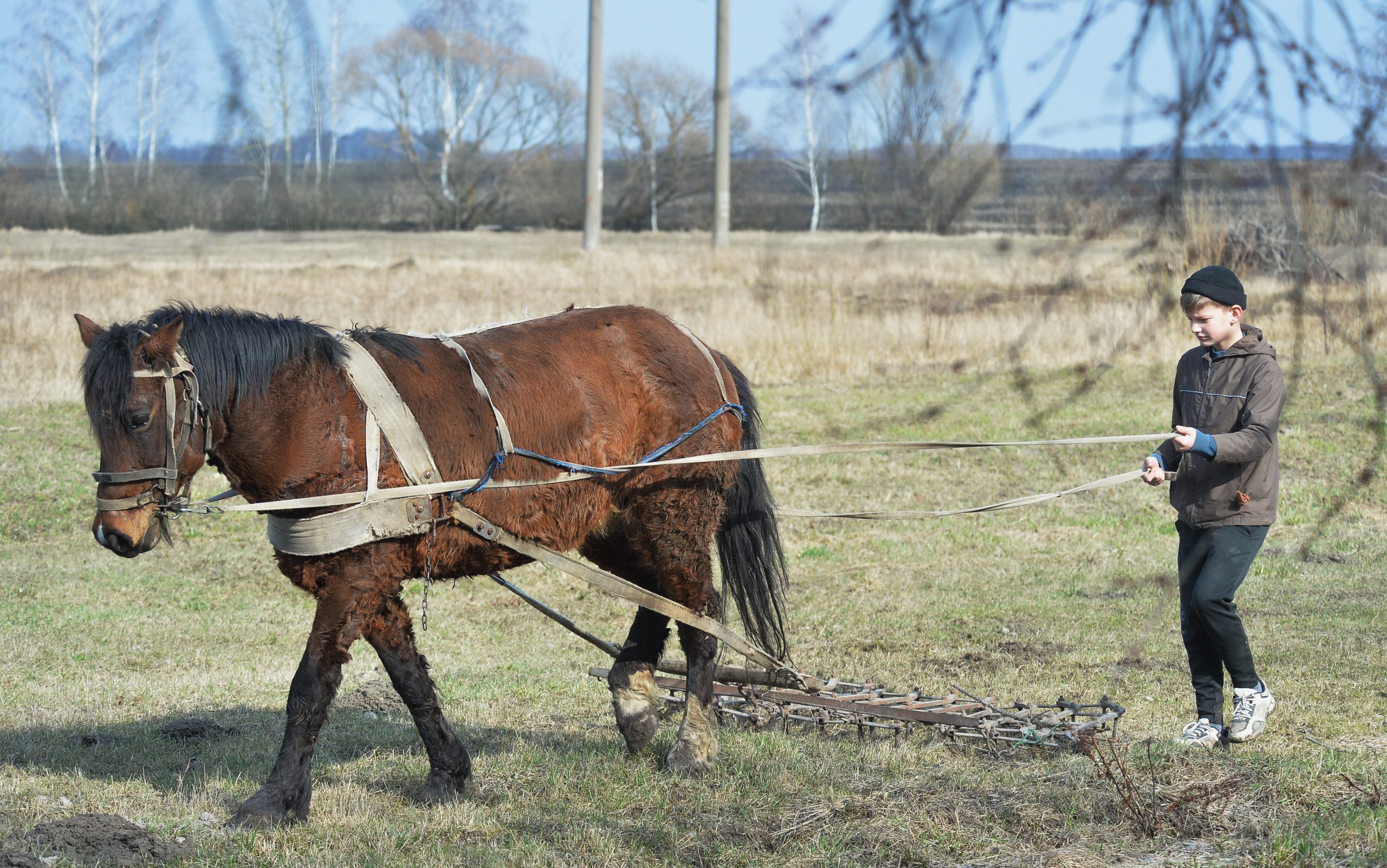 Сельские весенние хлопоты