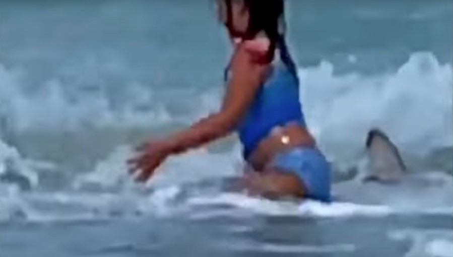 На Гавайях акула подплыла к девочке: ее мать сделала шокирующее видео