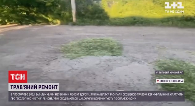 В Днепропетровской области для ямочного ремонта использовали траву