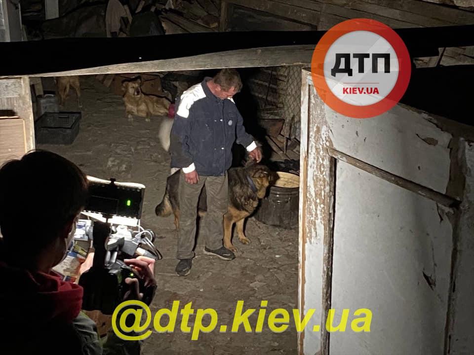 В Киеве произошел пожар в приюте для собак