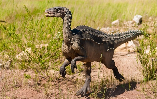 В Китае нашли останки неизвестного вида динозавра
