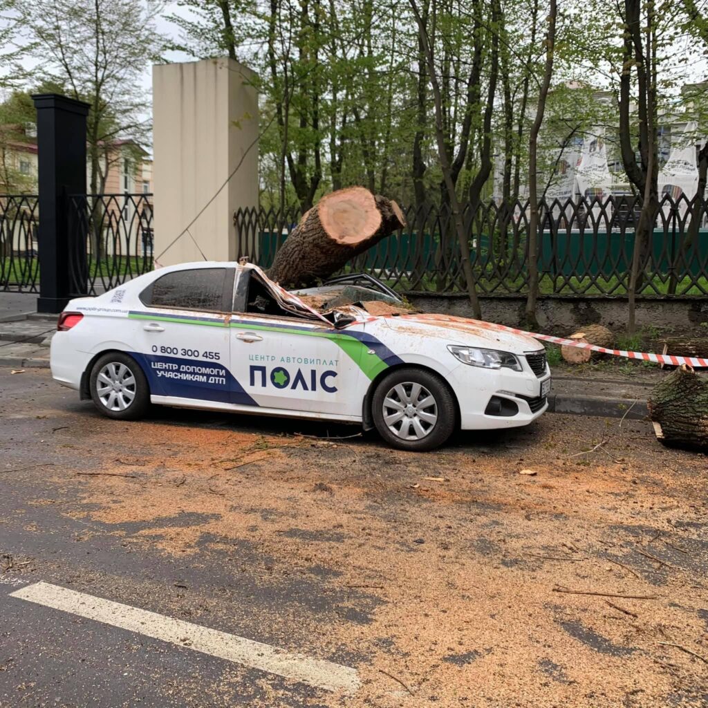 Во Львове упавшее дерево раздавило авто страховой службы