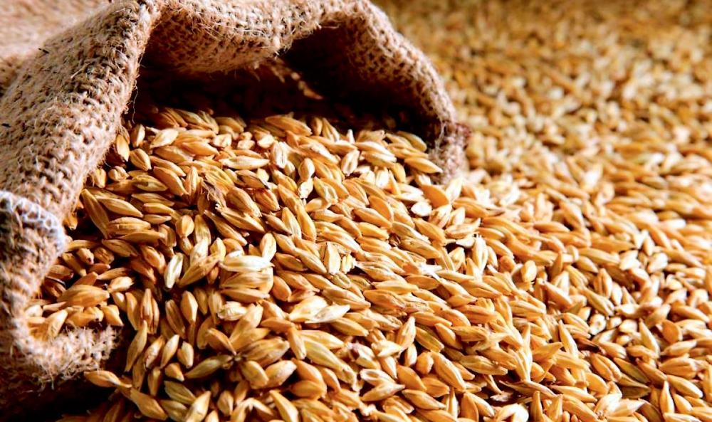 Снижение цены зерна повлечет удешевление хлеба – эксперт