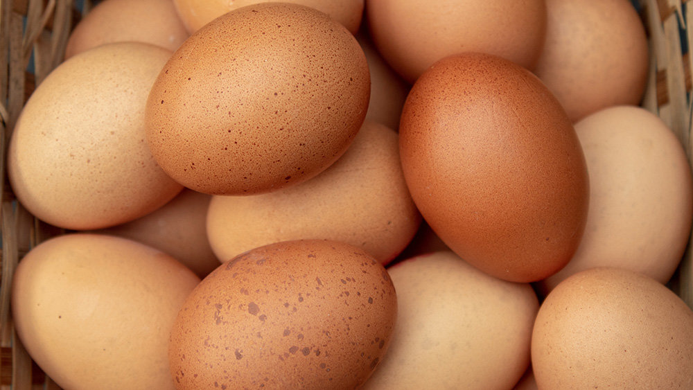 Яйца в Украине подешевели на 7%