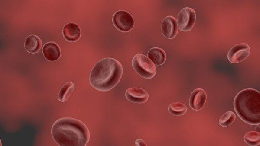 Медики назвали способы повышения уровня гемоглобина в крови
