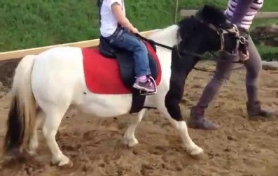 в Харькове ребенок травмировался во время катания на пони