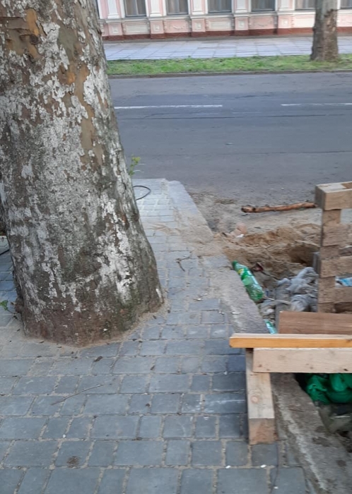 В Николаеве коммунальщики деревья «замуровали» плиткой (ФОТО)