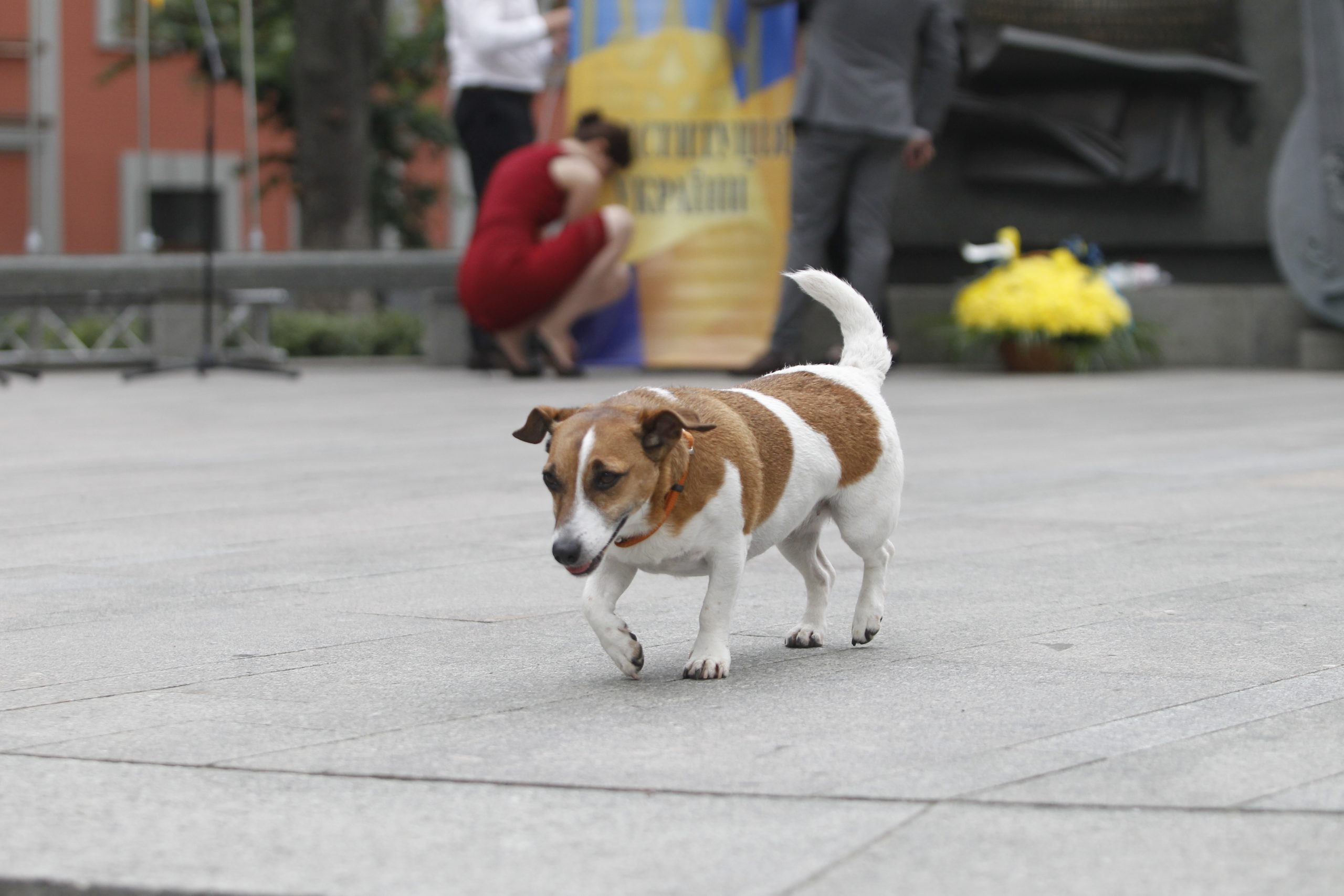 В Киеве возложили цветы автору первой в Украине Конституции