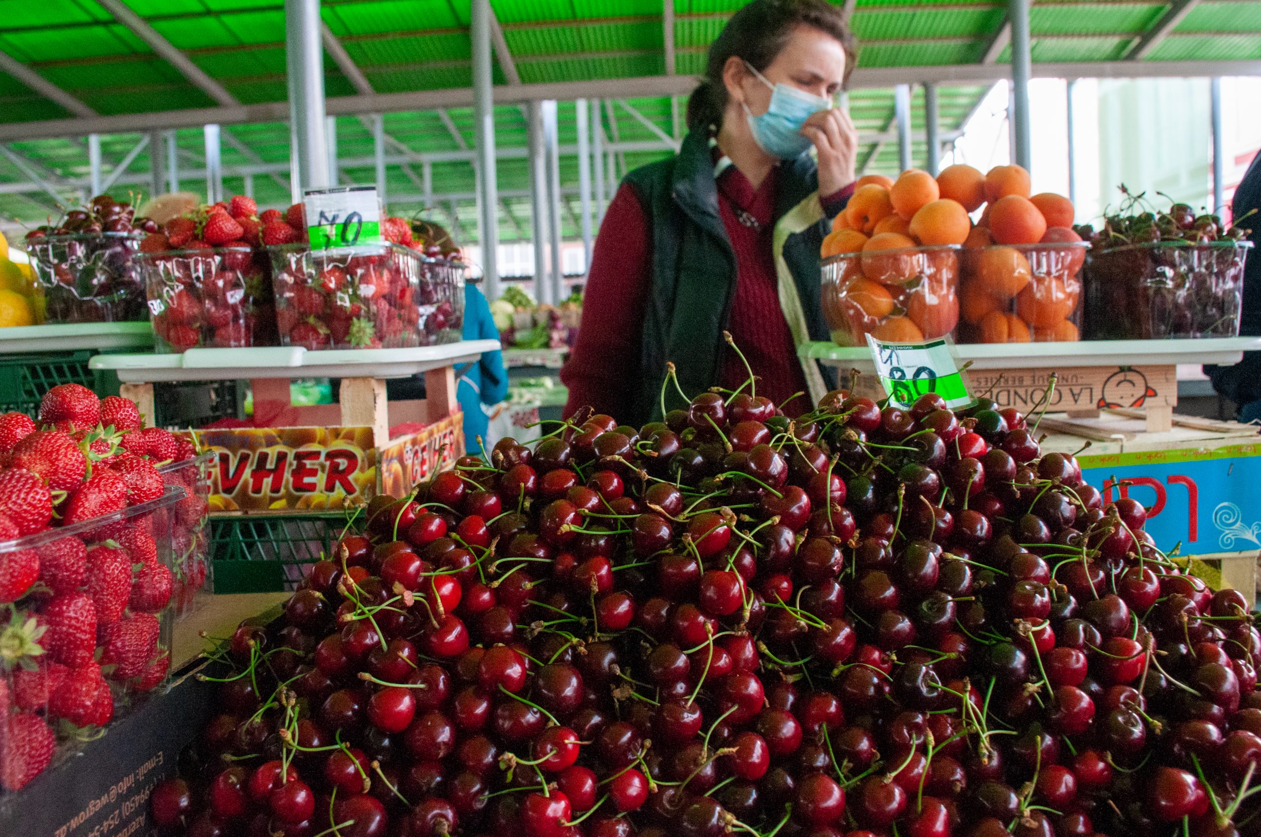 Харьковские фермеры обещают дешевую клубнику