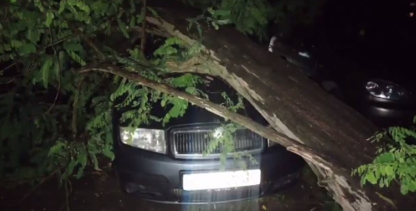 В Николаеве рухнувшее дерево повредило два авто (ВИДЕО)