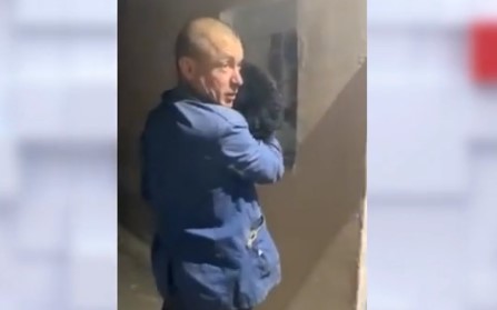 Из окна столичной многоэтажки выбросили собаку: хозяину грозит 8 лет