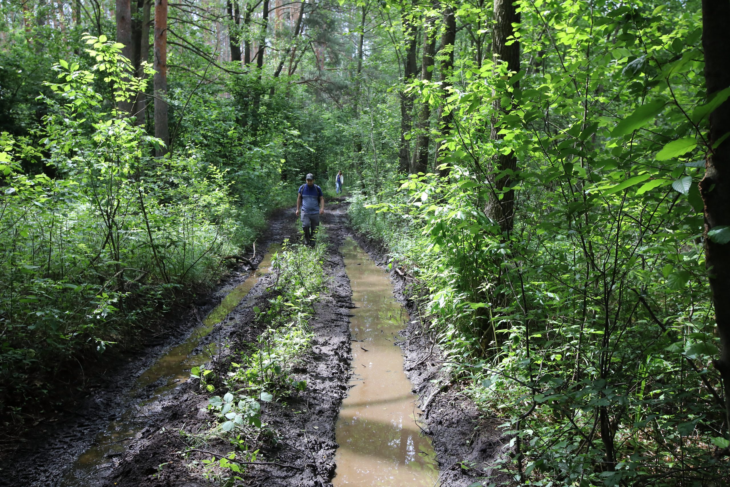 Журналистам показали как незаконно рубят леса