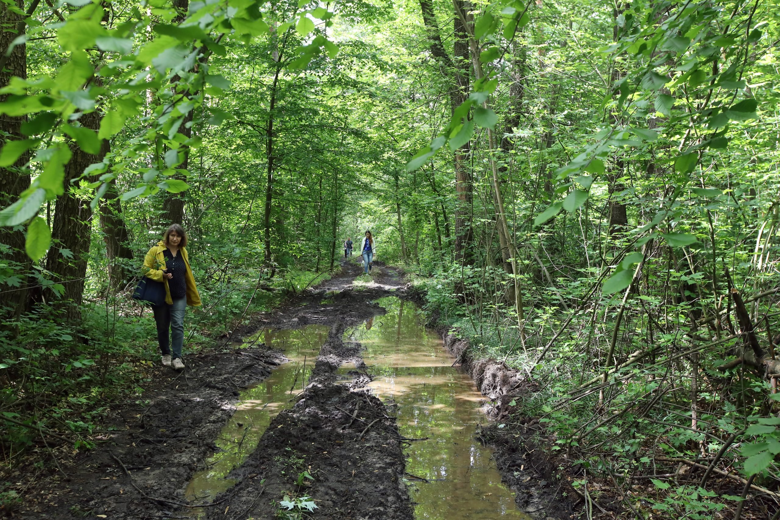 Журналистам показали как незаконно рубят леса