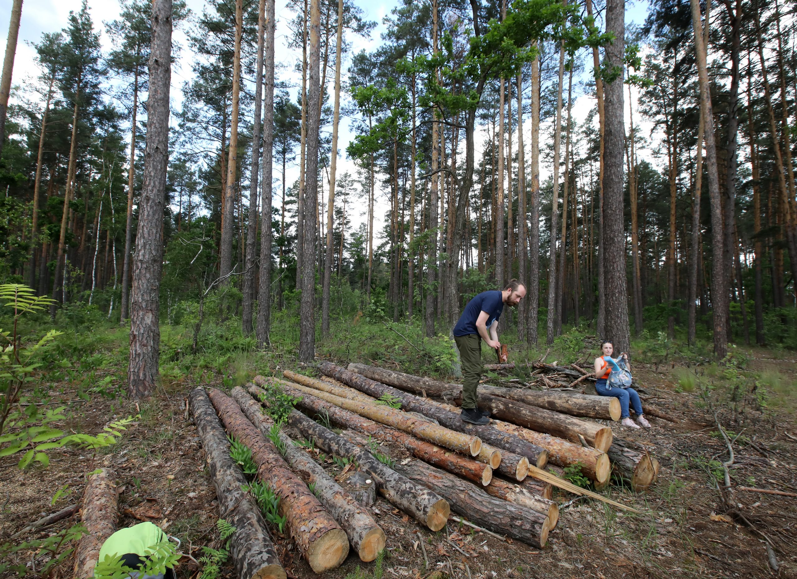 Журналистам показали как незаконно рубят леса