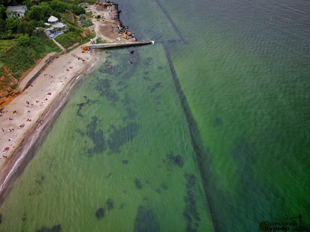 В Одессе море окрасилось в неестественный зеленый цвет (ФОТО, ВИДЕО)