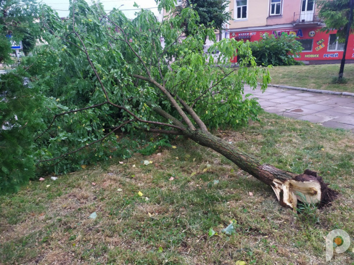 В Ровно пронесся ураган: сломаны заборы, столбы, затопило дороги (ФОТО, ВИДЕО)